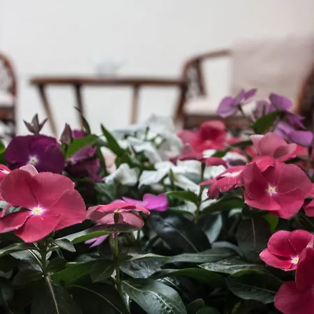 Bed & Breakfast Melior Szallo Eger